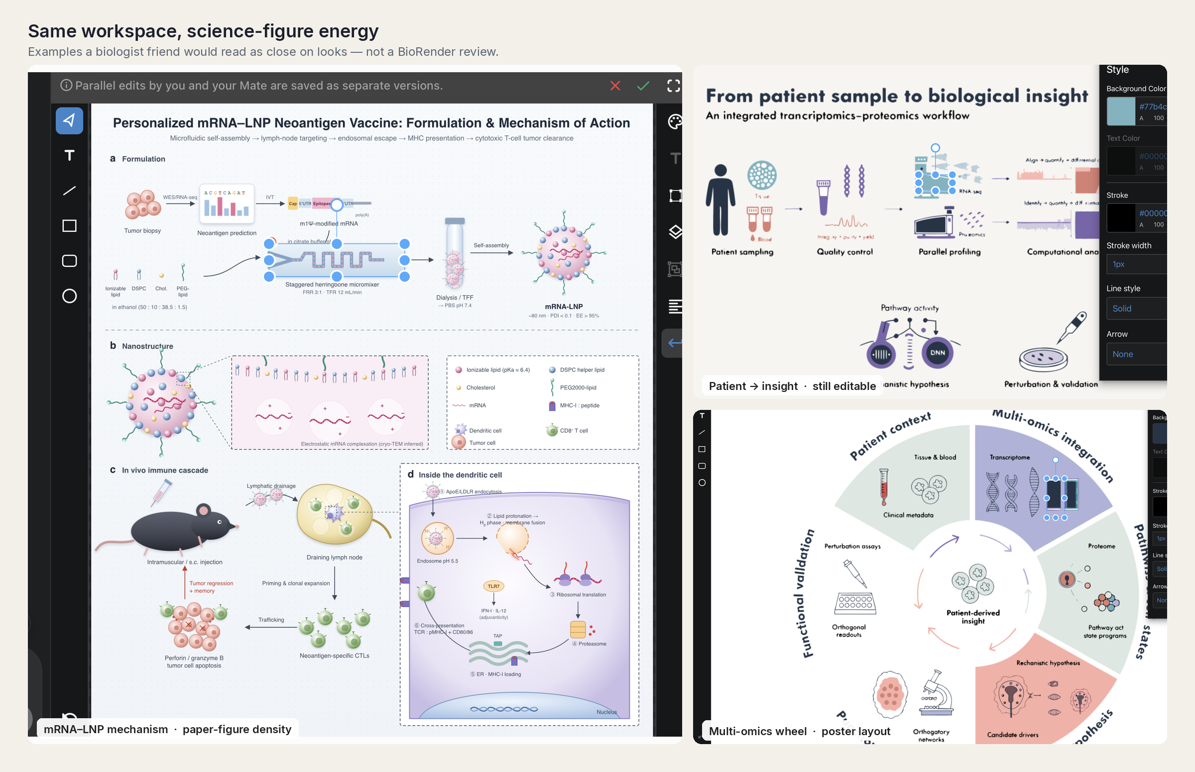 Science-figure examples from the same workspace: mechanism plate, linear workflow, multi-omics wheel